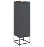 VidaXL Hoge kast 36x39x123 cm staal antracietkleurig