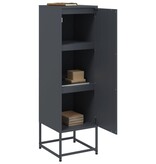 VidaXL Hoge kast 36x39x123 cm staal antracietkleurig