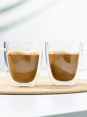 VidaXL Cappuccinoglazenset 2-delig 270 ml transparant