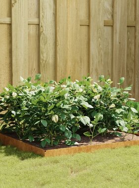 VidaXL Plantenbak verhoogd 100x100x18,5 cm cortenstaal