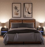 VidaXL Tv-wandmeubels met LED-verlichting 2 st 41x31x45 cm zwart