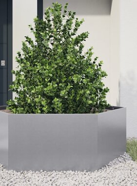 VidaXL Plantenbak zeshoek 138x120x45 cm gegalvaniseerd staal