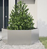 VidaXL Plantenbak zeshoek 138x120x45 cm roestvrijstaal