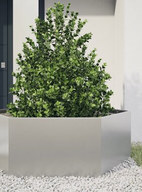 VidaXL Plantenbak zeshoek 138x120x45 cm roestvrijstaal