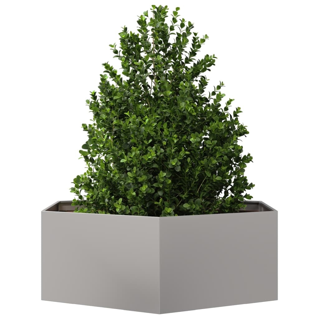 VidaXL Plantenbak zeshoek 138x120x45 cm roestvrijstaal