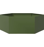 VidaXL Plantenbak zeshoek 138x120x45 cm staal olijfgroen