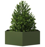 VidaXL Plantenbak zeshoek 138x120x45 cm staal olijfgroen