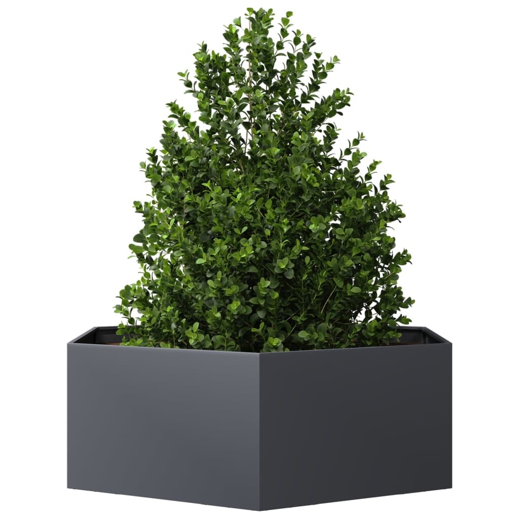 VidaXL Plantenbak zeshoek 138x120x45 cm staal antracietkleurig