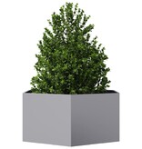 VidaXL Plantenbak zeshoek 104x90x45 cm gegalvaniseerd staal