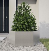VidaXL Plantenbak zeshoek 104x90x45 cm roestvrijstaal
