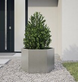 VidaXL Plantenbak zeshoek 69x60x45 cm roestvrijstaal