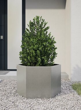 VidaXL Plantenbak zeshoek 69x60x45 cm roestvrijstaal