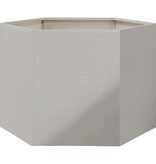 VidaXL Plantenbak zeshoek 69x60x45 cm roestvrijstaal