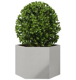 VidaXL Plantenbak zeshoek 69x60x45 cm roestvrijstaal