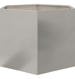 VidaXL Plantenbak zeshoek 69x60x45 cm roestvrijstaal