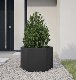VidaXL Plantenbak zeshoek 69x60x45 cm staal zwart