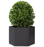VidaXL Plantenbak zeshoek 69x60x45 cm staal zwart