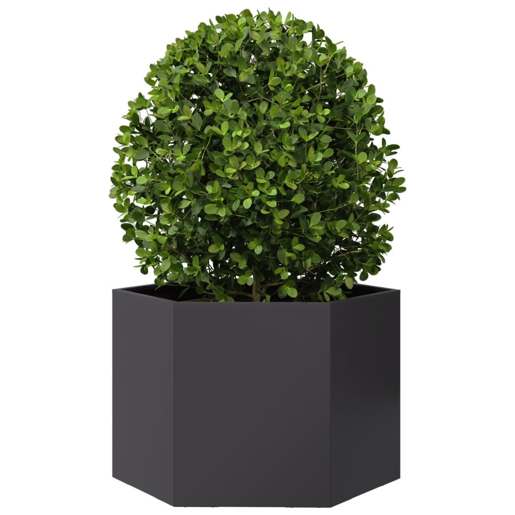 VidaXL Plantenbak zeshoek 69x60x45 cm staal zwart