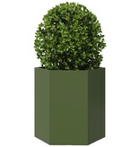 VidaXL Plantenbakken 2 st zeshoek 46x40x45 cm staal olijfgroen
