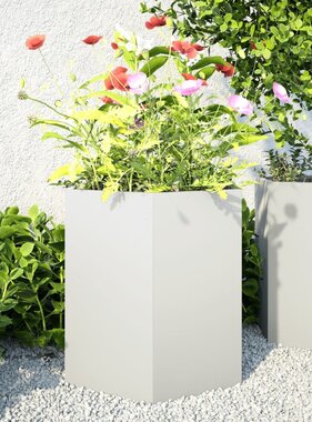 VidaXL Plantenbakken 2 st zeshoek 46x40x45 cm staal wit