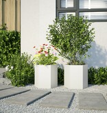 VidaXL Plantenbakken 2 st zeshoek 46x40x45 cm staal wit
