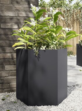VidaXL Plantenbakken 2 st zeshoek 46x40x45 cm staal zwart