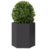 VidaXL Plantenbakken 2 st zeshoek 46x40x45 cm staal zwart