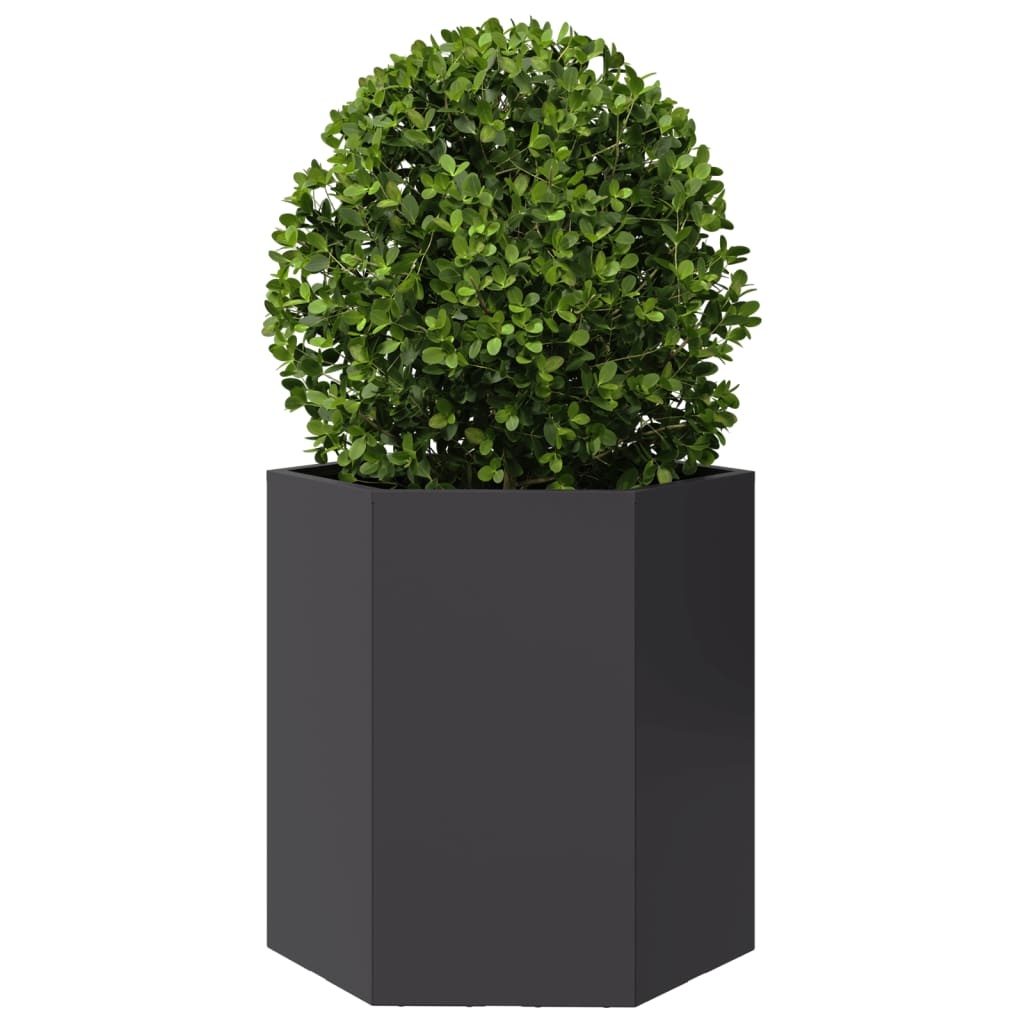 VidaXL Plantenbakken 2 st zeshoek 46x40x45 cm staal zwart