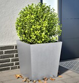 vidaXL Plantenbakken 2 st 50x50x50 cm gegalvaniseerd staal