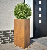 VidaXL Plantenbakken 2 st driehoek 50x43x75 cm cortenstaal