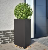 VidaXL Plantenbak driehoek 50x43x75 cm staal zwart