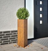 VidaXL Plantenbakken 2 st driehoek 30x26x75 cm cortenstaal