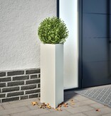 VidaXL Plantenbakken 2 st driehoek 30x26x75 cm staal wit