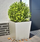 VidaXL Plantenbakken 2 st 50x50x50 cm roestvrij staal