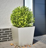 VidaXL Plantenbak 50x50x50 cm roestvrij staal