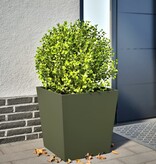 VidaXL Plantenbak 50x50x50 cm staal olijfgroen