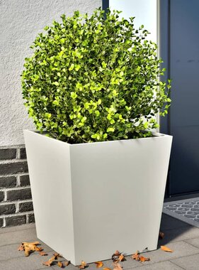 VidaXL Plantenbakken 2 st 50x50x50 cm staal wit