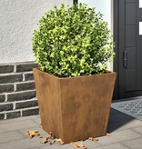 VidaXL Plantenbakken 2 st 40x40x40 cm cortenstaal