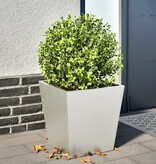 VidaXL Plantenbank 40x40x40 cm roestvrij staal
