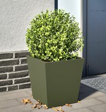 VidaXL Plantenbak 40x40x40 cm staal olijfgroen