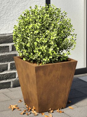VidaXL Plantenbakken 2 st 30x30x30 cm cortenstaal