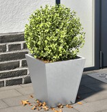 VidaXL Plantenbakken 2 st 30x30x30 cm gegalvaniseerd staal