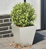 VidaXL Plantenbakken 2 st 30x30x30 cm roestvrij staal