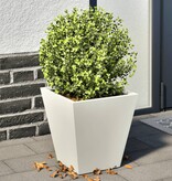 VidaXL Plantenbakken 2 st 30x30x30 cm staal wit