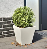 VidaXL Plantenbak 30x30x30 cm staal wit