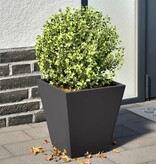 VidaXL Plantenbakken 2 st 30x30x30 cm staal zwart