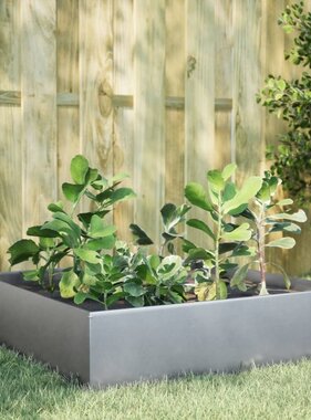 VidaXL Plantenbak verhoogd 100x100x25 cm gegalvaniseerd staal