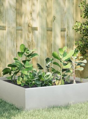 VidaXL Plantenbak verhoogd 100x100x25 cm roestvrijstaal