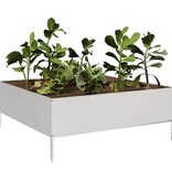 VidaXL Plantenbak verhoogd 100x100x25 cm roestvrijstaal