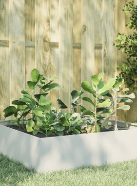 VidaXL Plantenbak verhoogd 100x100x25 cm staal wit